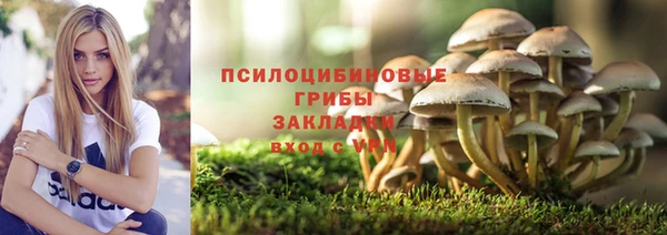 метамфетамин Осташков