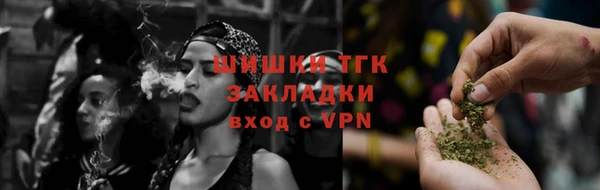 мдпв Осинники