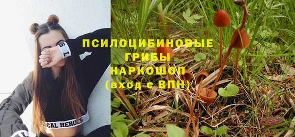 мдпв Осинники