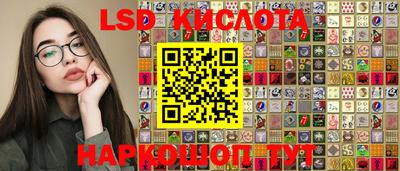 крисы Гатчина