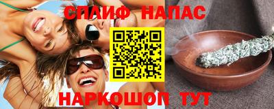 крисы Гатчина