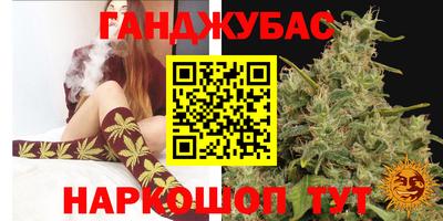 крисы Гатчина