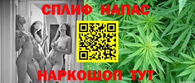 гашик Балашиха