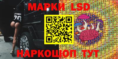 шишки Гагарин