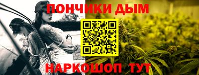 крисы Гай