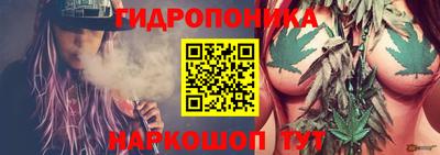 гашик Балашиха