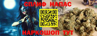 тгк Кингисепп