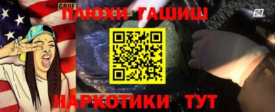 крисы Гай
