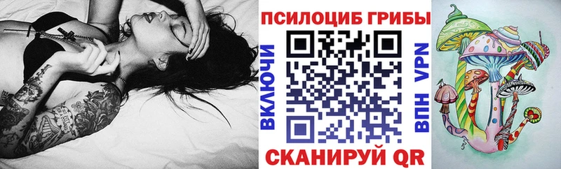 Псилоцибиновые грибы прущие грибы  мега как войти  Ейск 