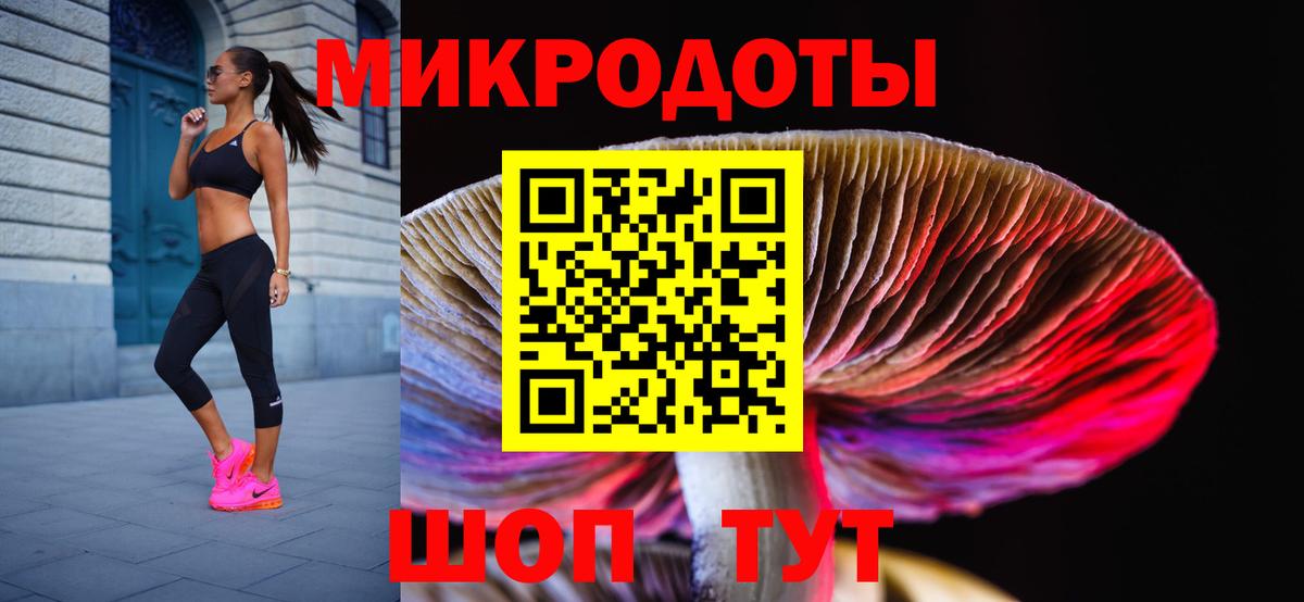 Псилоцибиновые грибы Cubensis Ейск