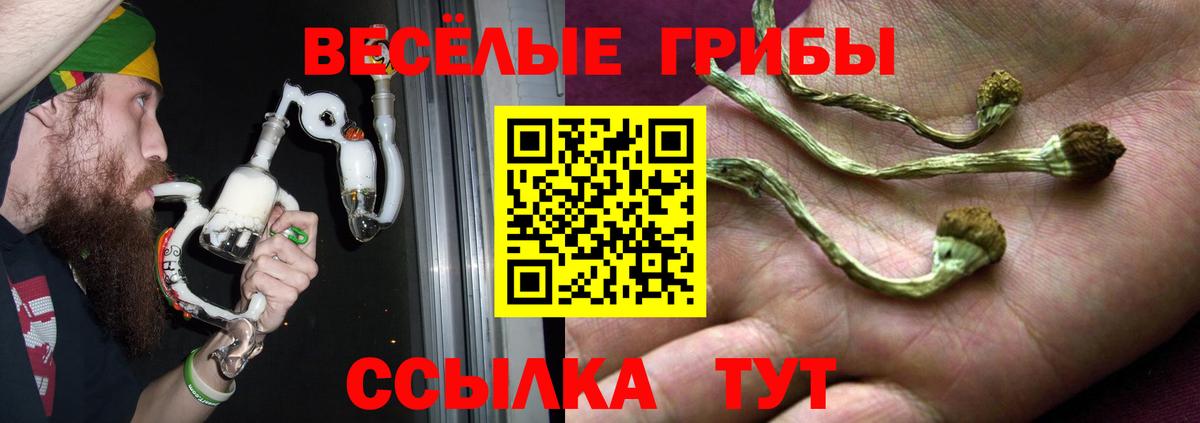 Галлюциногенные грибы мухоморы Ейск